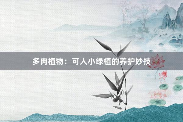 多肉植物：可人小绿植的养护妙技