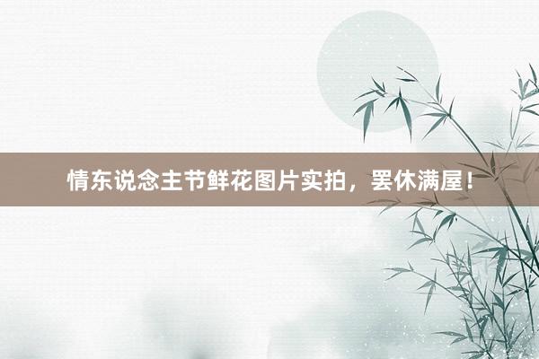 情东说念主节鲜花图片实拍,罢休满屋!