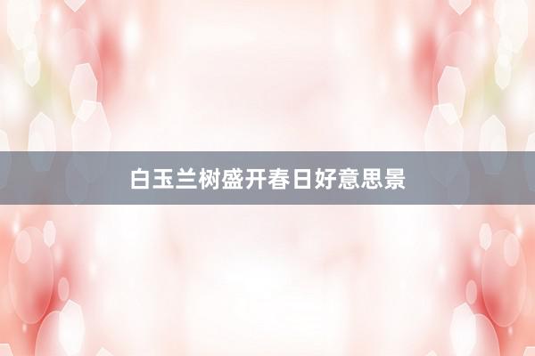 白玉兰树盛开春日好意思景