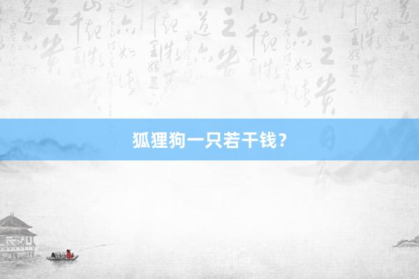 狐狸狗一只若干钱？