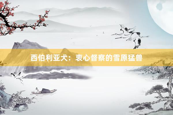 西伯利亚犬：衷心督察的雪原猛兽
