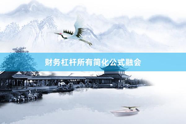 财务杠杆所有简化公式融会