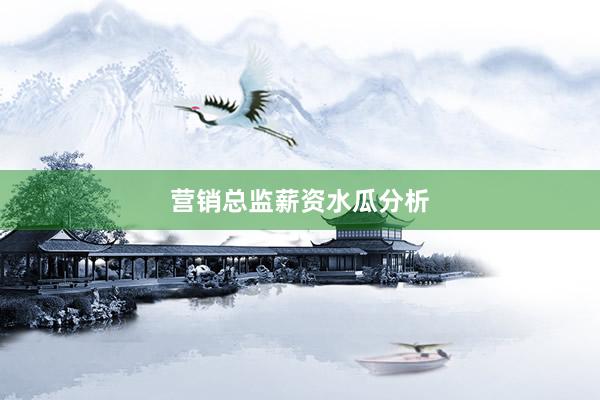 营销总监薪资水瓜分析